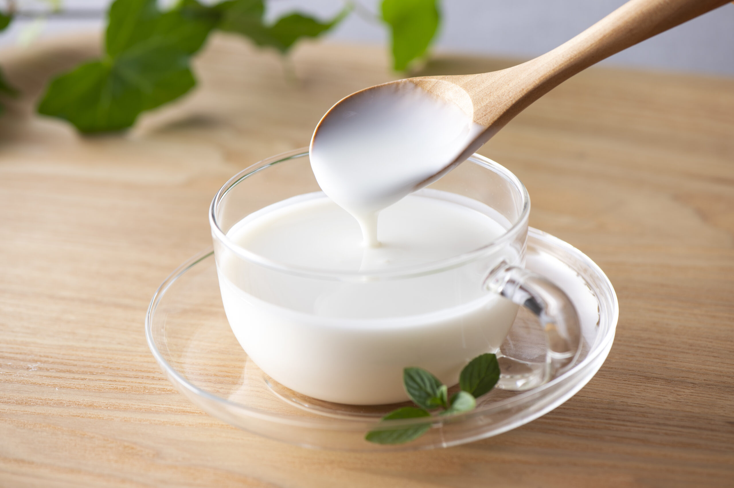 ヨーグルトのおすすめの選び方は？種類や食べるメリットと合わせて解説 - 岩手県洋野町（ひろのちょう）公式地域情報ポータルサイト｜ひろのポータルサイト